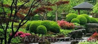 Курс ландшафтного дизайна .Твой успех .Херсон - <ro>Изображение</ro><ru>Изображение</ru> #1, <ru>Объявление</ru> #1547437