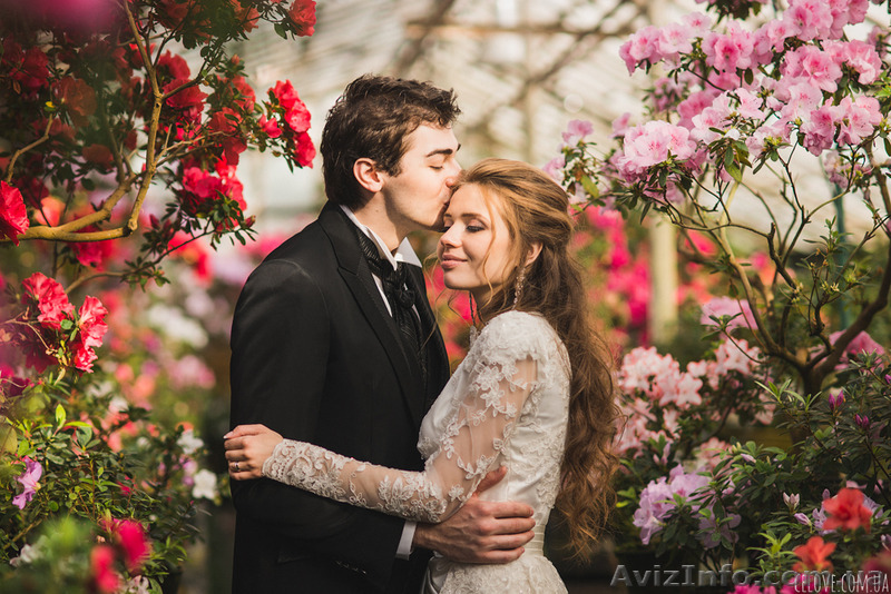 Курс флористики .Твой успех. Херсон - <ro>Изображение</ro><ru>Изображение</ru> #1, <ru>Объявление</ru> #1547436