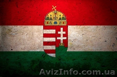 Курсы венгерского языка в Херсоне. УЦ Твой Успех. - <ro>Изображение</ro><ru>Изображение</ru> #1, <ru>Объявление</ru> #1544742