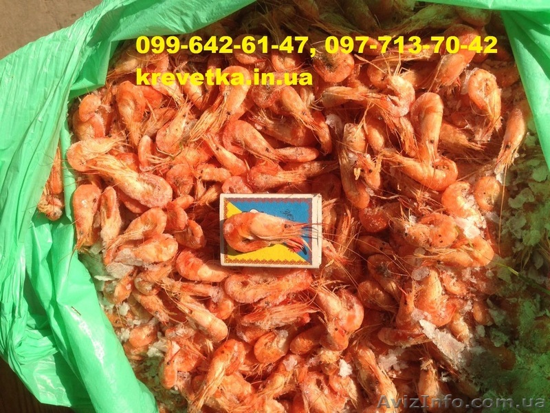 Креветка Корм для аквариумных рыб - <ro>Изображение</ro><ru>Изображение</ru> #1, <ru>Объявление</ru> #1552132