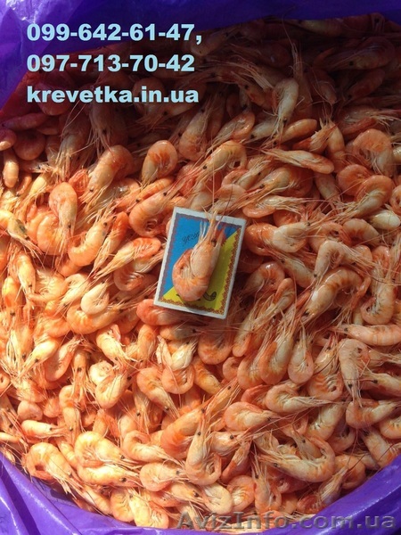 Мелкая  креветка отсев  - <ro>Изображение</ro><ru>Изображение</ru> #1, <ru>Объявление</ru> #1552169