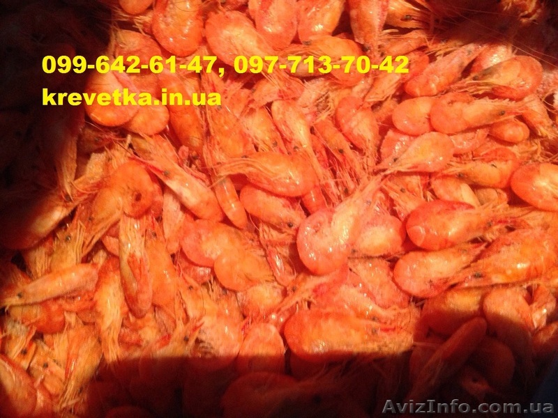 Сушенная черноморская креветка  - <ro>Изображение</ro><ru>Изображение</ru> #1, <ru>Объявление</ru> #1552133