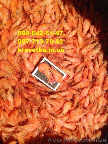 Креветка микс продаю  - <ro>Изображение</ro><ru>Изображение</ru> #1, <ru>Объявление</ru> #1552114