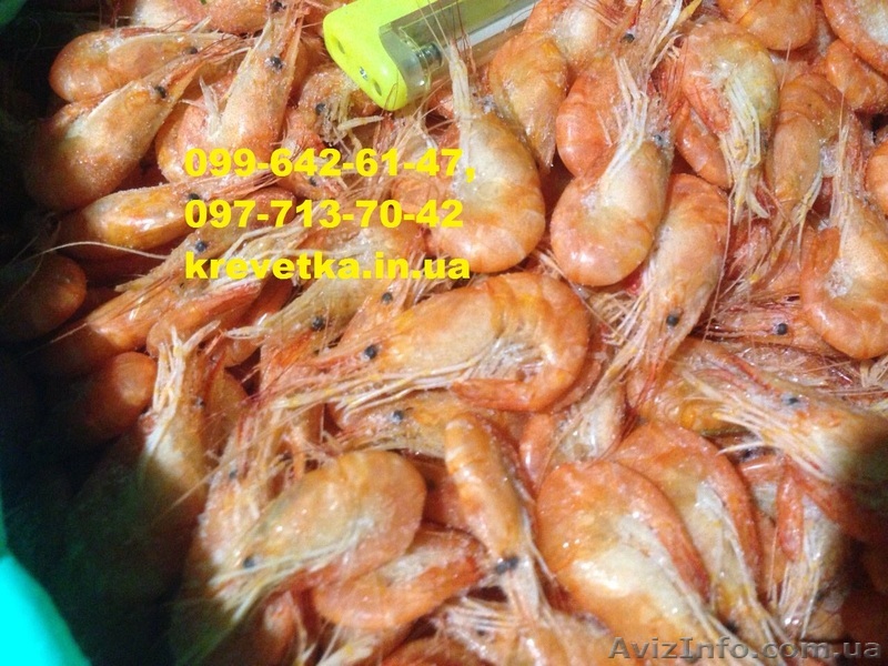 Креветка криветка  - <ro>Изображение</ro><ru>Изображение</ru> #1, <ru>Объявление</ru> #1552118