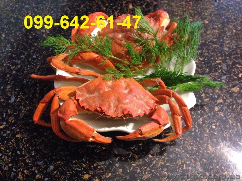Продается крупный краб - <ro>Изображение</ro><ru>Изображение</ru> #1, <ru>Объявление</ru> #1552175