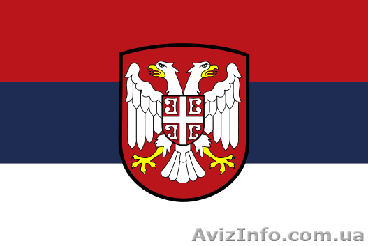 Курс сербского языка .Твой успех .Херсон - <ro>Изображение</ro><ru>Изображение</ru> #1, <ru>Объявление</ru> #1549820