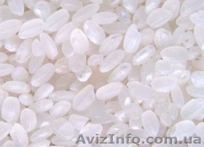 Продам рис круглый. камалино. бурый. дикий - <ro>Изображение</ro><ru>Изображение</ru> #1, <ru>Объявление</ru> #1595133