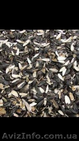 Куплю шелуху(лузгу) подсолнечника - <ro>Изображение</ro><ru>Изображение</ru> #1, <ru>Объявление</ru> #1597070