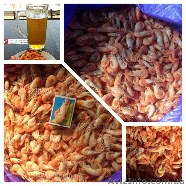 Азовская, черноморская креветка оптом  - <ro>Изображение</ro><ru>Изображение</ru> #1, <ru>Объявление</ru> #1604792