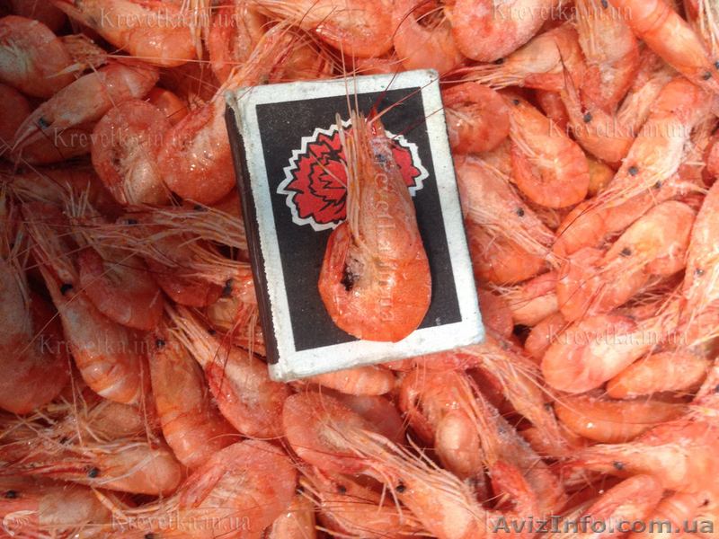 Креветка калиброванная крупная, мидии, рапаны, крабы - <ro>Изображение</ro><ru>Изображение</ru> #1, <ru>Объявление</ru> #1604825