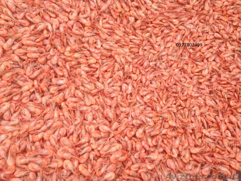 Черноморская креветка микс - <ro>Изображение</ro><ru>Изображение</ru> #1, <ru>Объявление</ru> #1604815