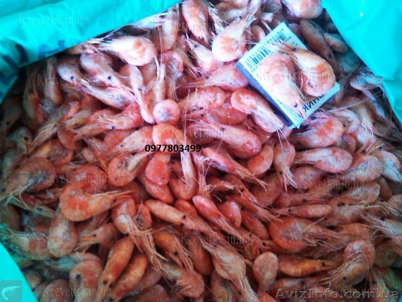 Креветка черноморская вакуум - <ro>Изображение</ro><ru>Изображение</ru> #1, <ru>Объявление</ru> #1604821