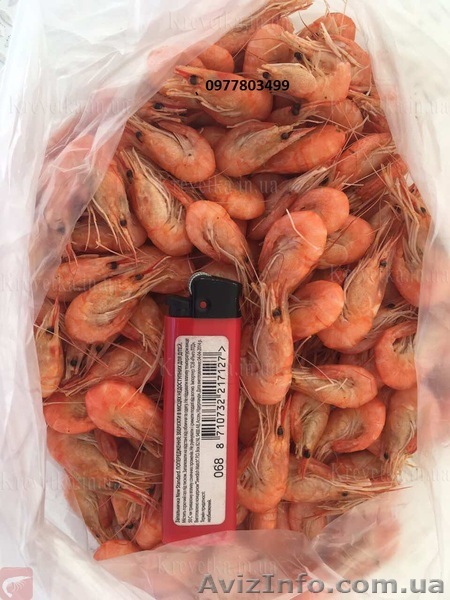 Классная крупная вкусная креветка с пляжа  - <ro>Изображение</ro><ru>Изображение</ru> #1, <ru>Объявление</ru> #1604824