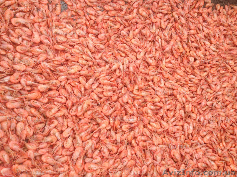 Салат с креветками - <ro>Изображение</ro><ru>Изображение</ru> #1, <ru>Объявление</ru> #1604835