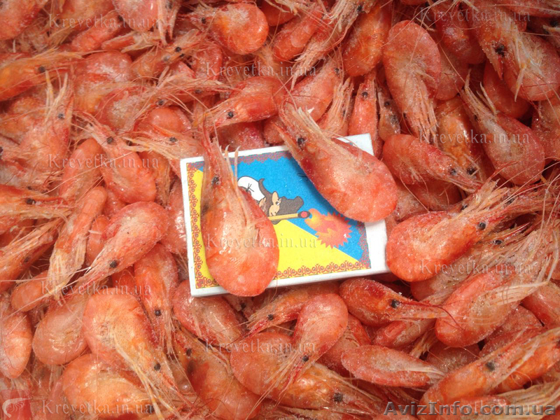 Калкан, мидия, краб - <ro>Изображение</ro><ru>Изображение</ru> #1, <ru>Объявление</ru> #1604829