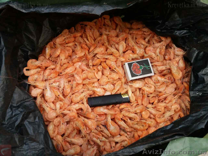 Креветки мидии  - <ro>Изображение</ro><ru>Изображение</ru> #1, <ru>Объявление</ru> #1604840