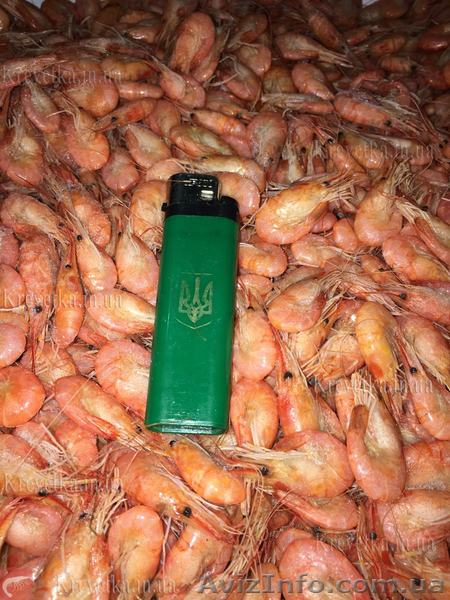 Креветки  - <ro>Изображение</ro><ru>Изображение</ru> #1, <ru>Объявление</ru> #1604834
