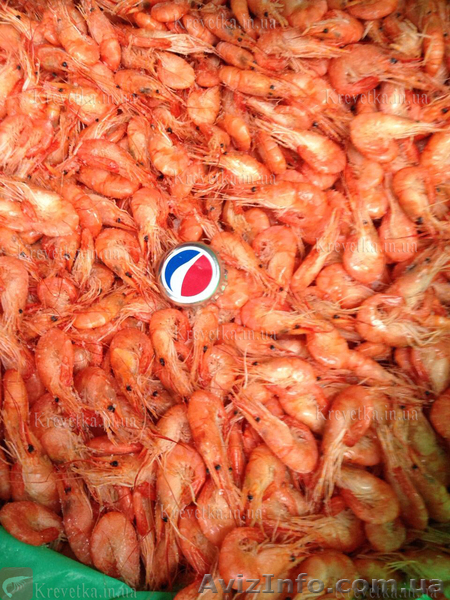 НАША креветка азовка и черноморка - <ro>Изображение</ro><ru>Изображение</ru> #1, <ru>Объявление</ru> #1604838