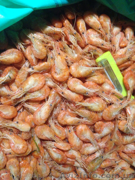 Вкусные креветки - <ro>Изображение</ro><ru>Изображение</ru> #1, <ru>Объявление</ru> #1604841