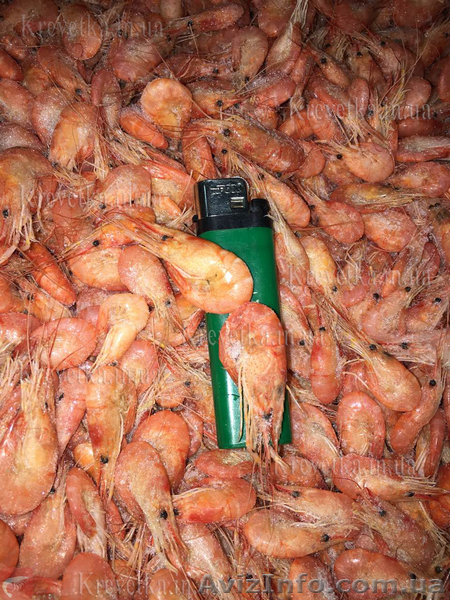 Экспорт креветка черноморская - <ro>Изображение</ro><ru>Изображение</ru> #1, <ru>Объявление</ru> #1604837