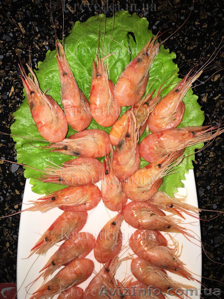 Крупная калиброванная креветка черноморская  - <ro>Изображение</ro><ru>Изображение</ru> #1, <ru>Объявление</ru> #1604796