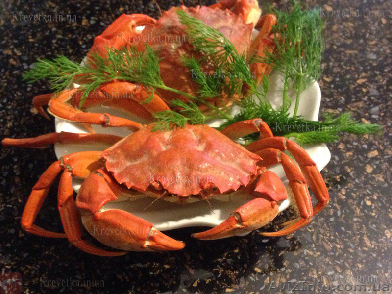 Живые крабы, вареная креветка опт - <ro>Изображение</ro><ru>Изображение</ru> #1, <ru>Объявление</ru> #1604819