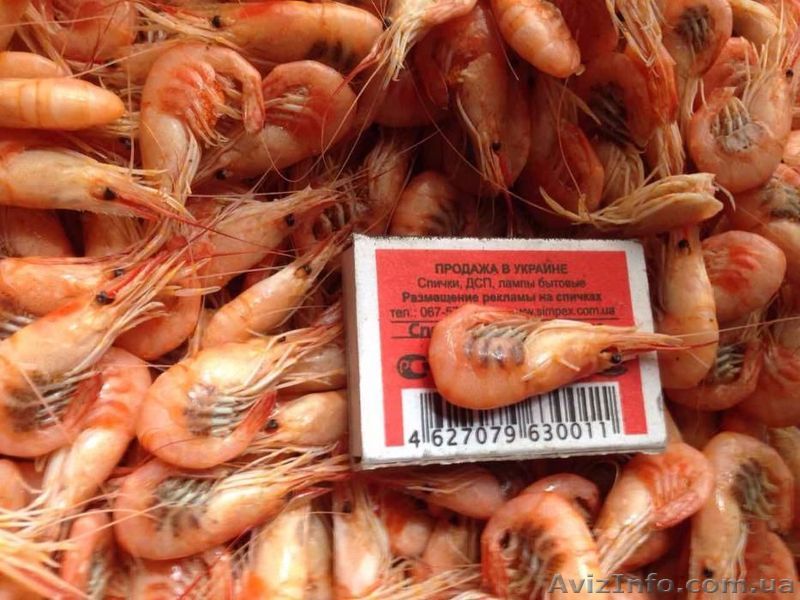 Азовская и черноморская креветка - <ro>Изображение</ro><ru>Изображение</ru> #1, <ru>Объявление</ru> #1618052