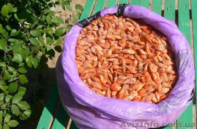 Креветка черноморская без посредников - <ro>Изображение</ro><ru>Изображение</ru> #1, <ru>Объявление</ru> #1618053