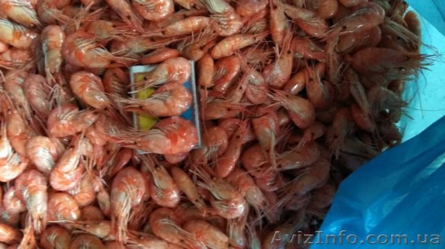 Креветка с черного моря  - <ro>Изображение</ro><ru>Изображение</ru> #1, <ru>Объявление</ru> #1618054