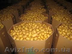 Картонный ящик под помидор  - <ro>Изображение</ro><ru>Изображение</ru> #1, <ru>Объявление</ru> #1627068