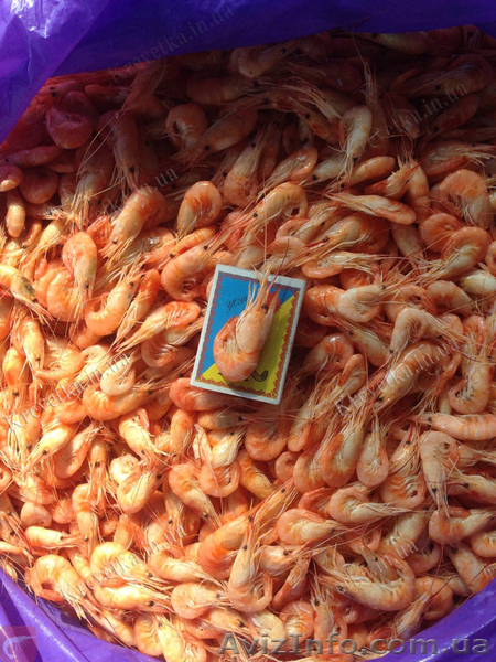Продам оптом креветку черноморскую, азовскую отличного качества. - <ro>Изображение</ro><ru>Изображение</ru> #1, <ru>Объявление</ru> #1631123