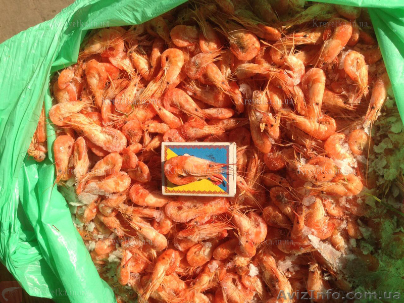Отсев креветка мелкая черноморская - <ro>Изображение</ro><ru>Изображение</ru> #1, <ru>Объявление</ru> #1631124