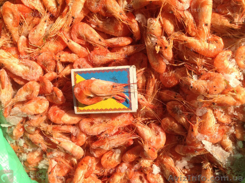 Креветка с полным пакетом сопроводительных документов - <ro>Изображение</ro><ru>Изображение</ru> #1, <ru>Объявление</ru> #1631126