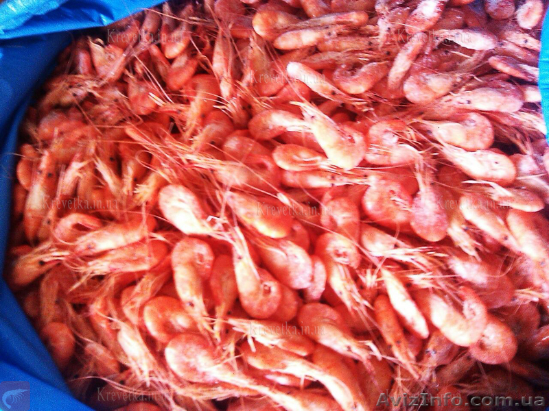 Крупная креветка  азовская   - <ro>Изображение</ro><ru>Изображение</ru> #1, <ru>Объявление</ru> #1631127
