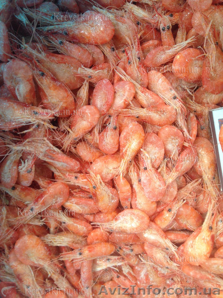 Креветка черноморская, азовская. крупная , гамуз , микс - <ro>Изображение</ro><ru>Изображение</ru> #1, <ru>Объявление</ru> #1631128