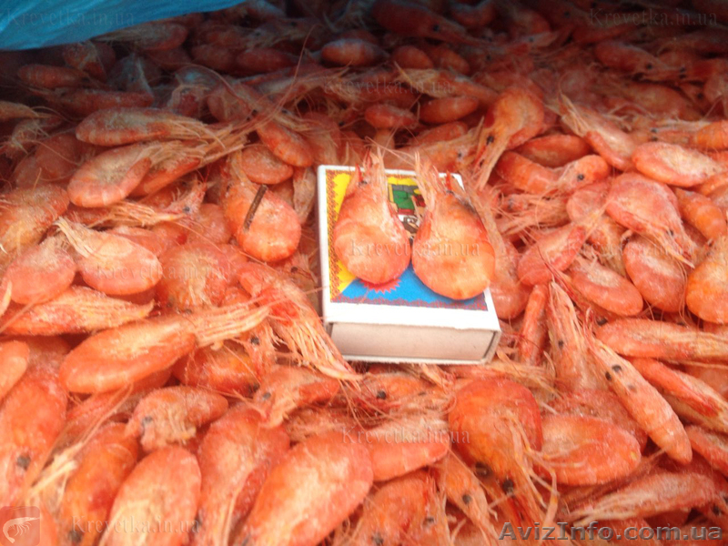 Креветка черноморская - <ro>Изображение</ro><ru>Изображение</ru> #1, <ru>Объявление</ru> #1631131