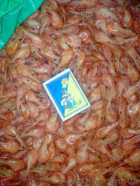 Креветка черноморская мелкая, крупная. - <ro>Изображение</ro><ru>Изображение</ru> #1, <ru>Объявление</ru> #1631136