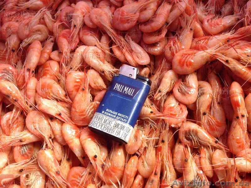 Креветка - <ro>Изображение</ro><ru>Изображение</ru> #1, <ru>Объявление</ru> #1631135