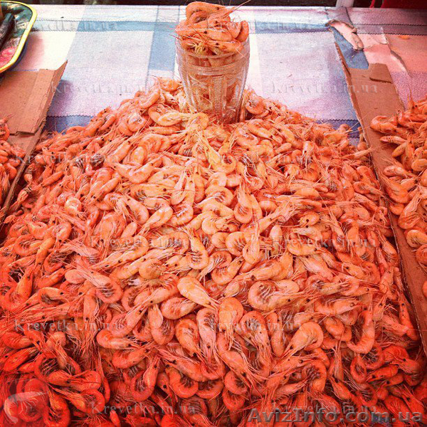 Продам креветку черноморскую и азовку. - <ro>Изображение</ro><ru>Изображение</ru> #1, <ru>Объявление</ru> #1631122