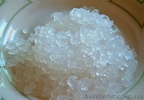 Индийский морской рис. Морской рисовый гриб. Морской индийский гриб. Херсон. - <ro>Изображение</ro><ru>Изображение</ru> #1, <ru>Объявление</ru> #1631181