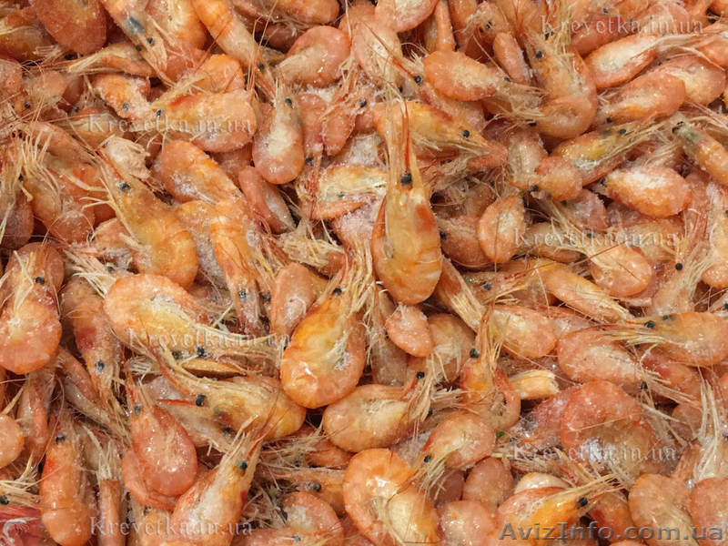 Креветка черноморская /черноморские гиганты. - <ro>Изображение</ro><ru>Изображение</ru> #1, <ru>Объявление</ru> #1639830