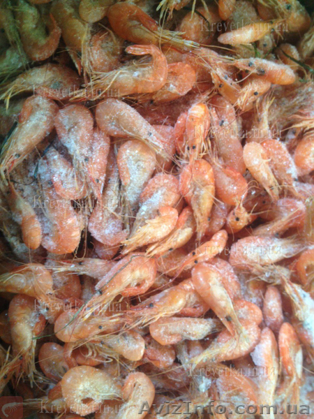 Живой краб , черноморская креветка . - <ro>Изображение</ro><ru>Изображение</ru> #1, <ru>Объявление</ru> #1639823