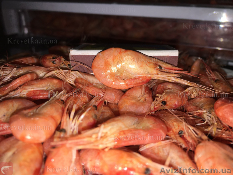 Креветка черноморская  микс  - <ro>Изображение</ro><ru>Изображение</ru> #1, <ru>Объявление</ru> #1639829