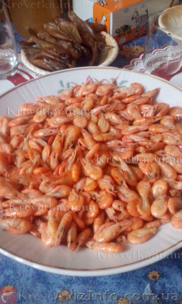 Креветка азовская и черноморская . - <ro>Изображение</ro><ru>Изображение</ru> #1, <ru>Объявление</ru> #1639822