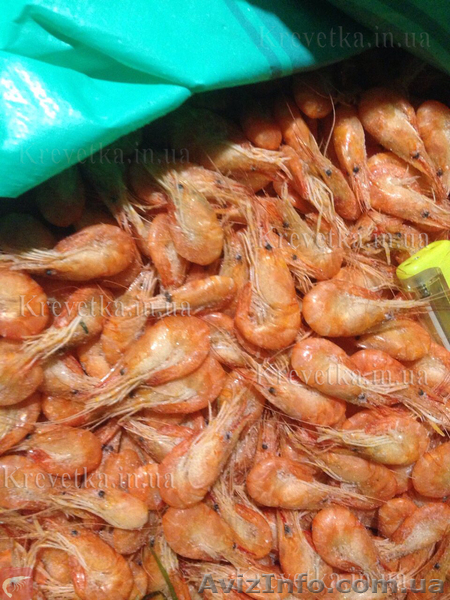 Креветка оптом и в розницу  - <ro>Изображение</ro><ru>Изображение</ru> #1, <ru>Объявление</ru> #1639820