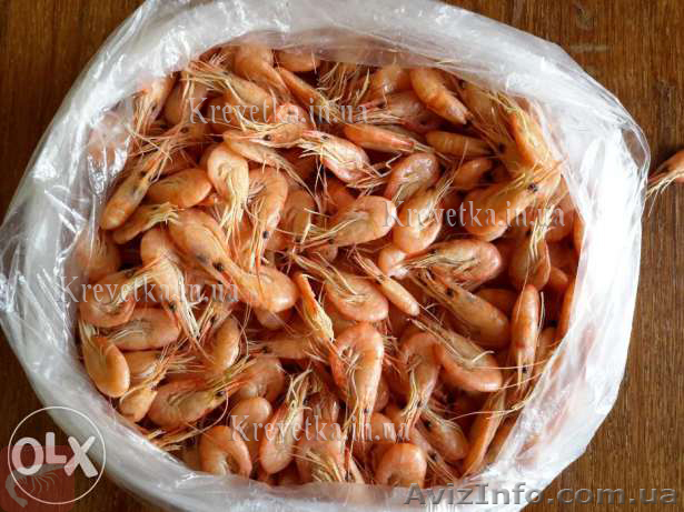 Креветка икряная  - <ro>Изображение</ro><ru>Изображение</ru> #1, <ru>Объявление</ru> #1639826
