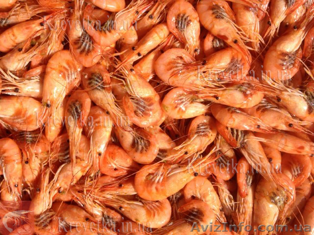 Рыба . Креветка . - <ro>Изображение</ro><ru>Изображение</ru> #1, <ru>Объявление</ru> #1639819