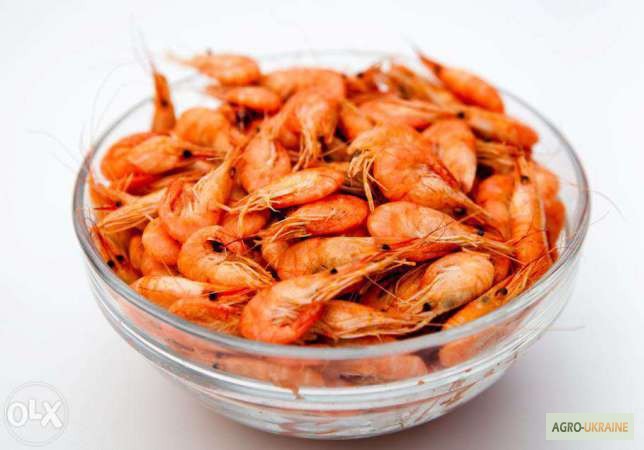 Креветка черноморская варенная,живая-сырая - <ro>Изображение</ro><ru>Изображение</ru> #1, <ru>Объявление</ru> #1647250