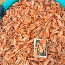 Продам черноморскую креветку средних размеров черноморские(рачки) - <ro>Изображение</ro><ru>Изображение</ru> #1, <ru>Объявление</ru> #1647251