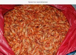 Креветка Черноморская икрянная  - <ro>Изображение</ro><ru>Изображение</ru> #1, <ru>Объявление</ru> #1647254